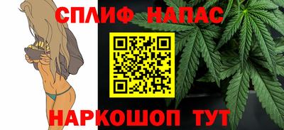 шишки Сосновоборск