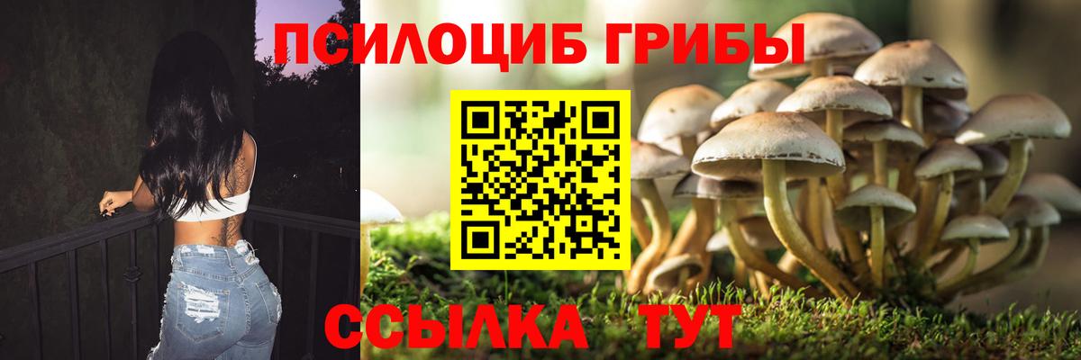 Галлюциногенные грибы мицелий Мариинск